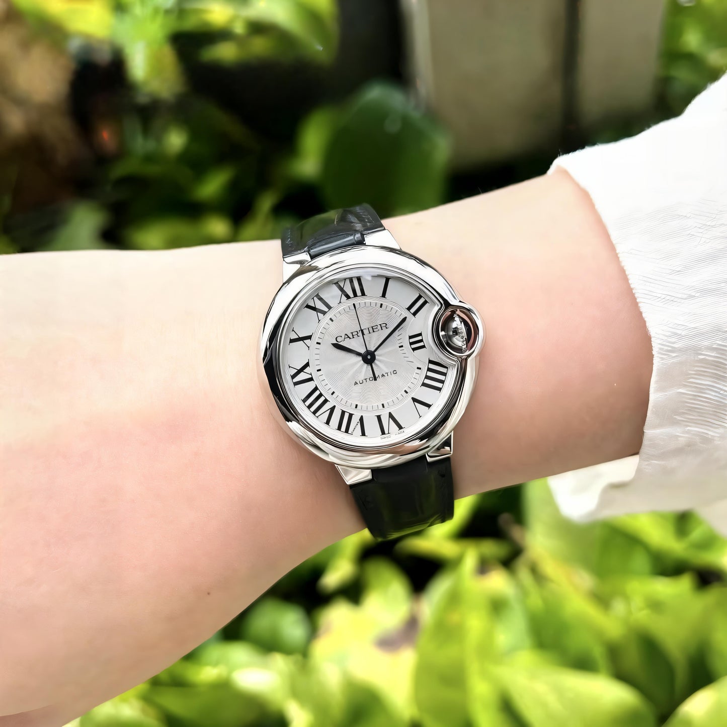 Men's Premium Watch