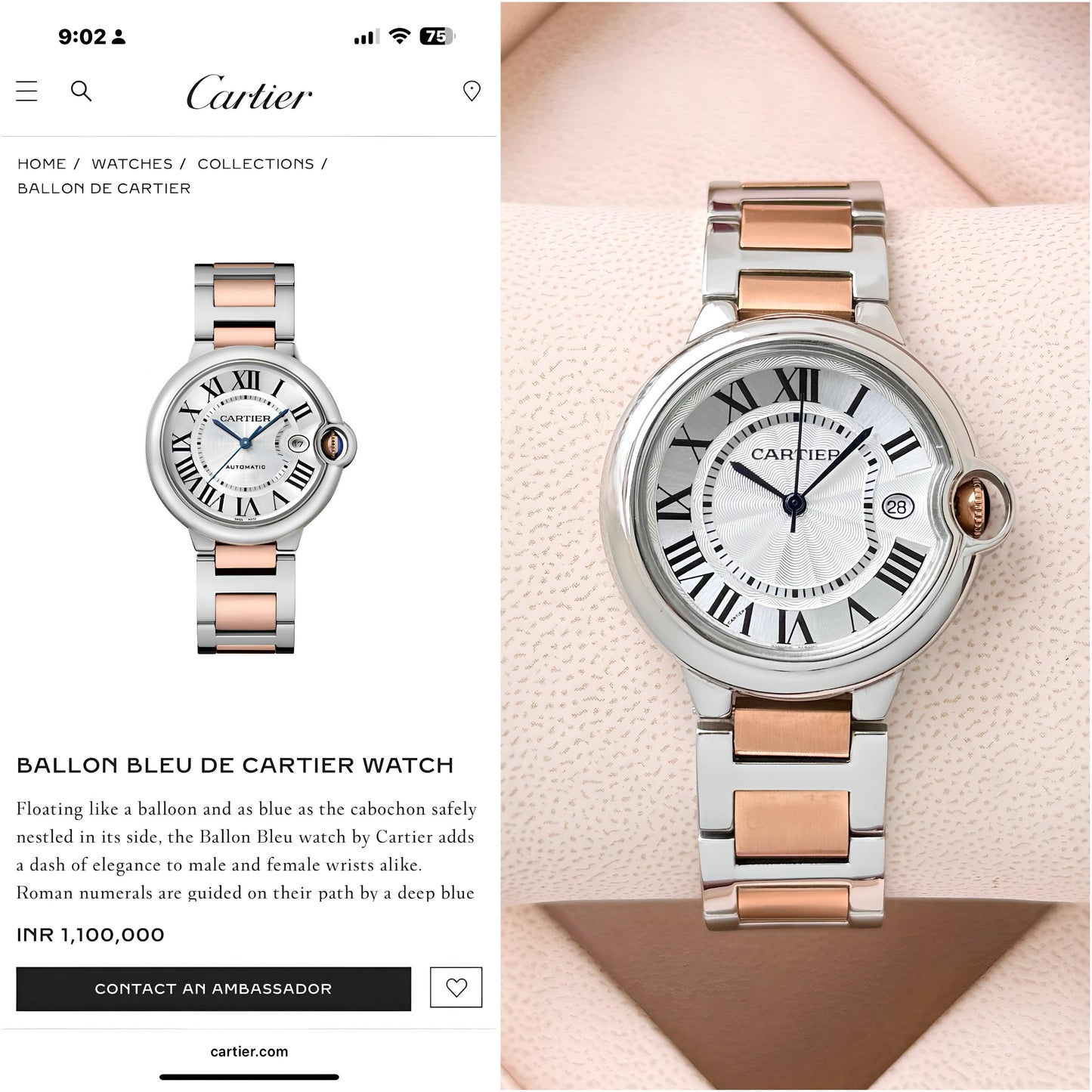 Women's Premium Watch