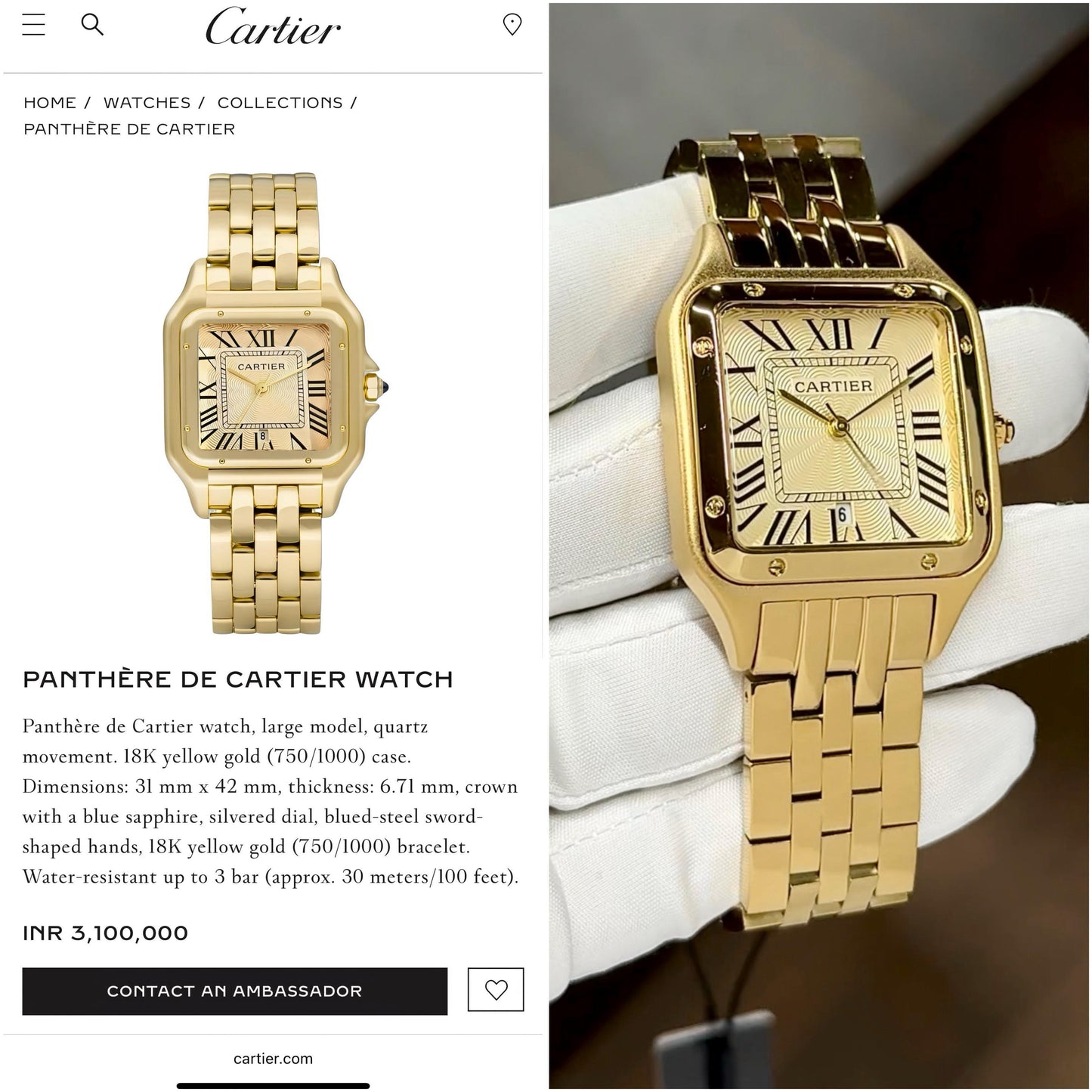Women's Premium Watch