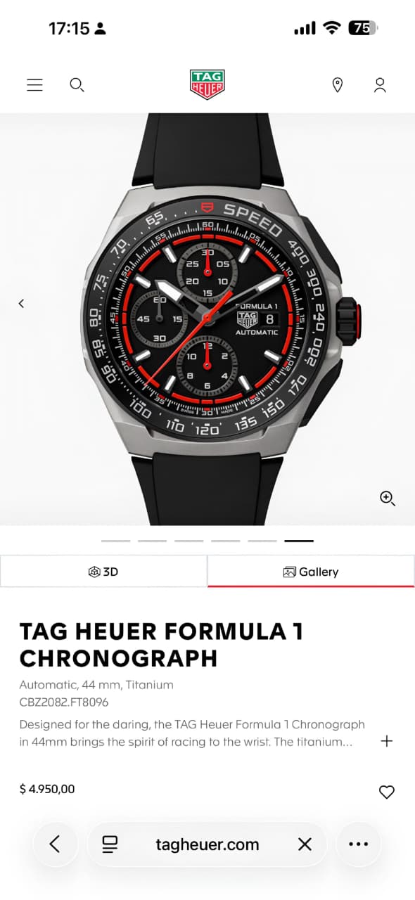 Men's Premium Watch